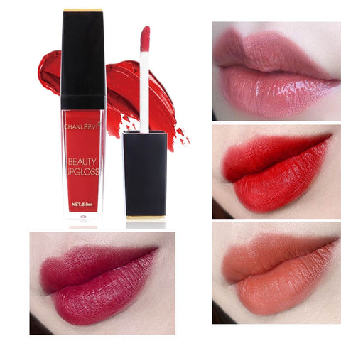 Professional Makeup Lip Gloss