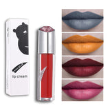 Beauty Lip Gloss Pigments Matte Lips Tint