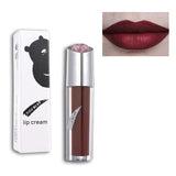 Beauty Lip Gloss Pigments Matte Lips Tint