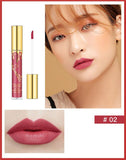 12 Colors Matte Lip Gloss