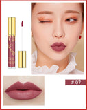 12 Colors Matte Lip Gloss
